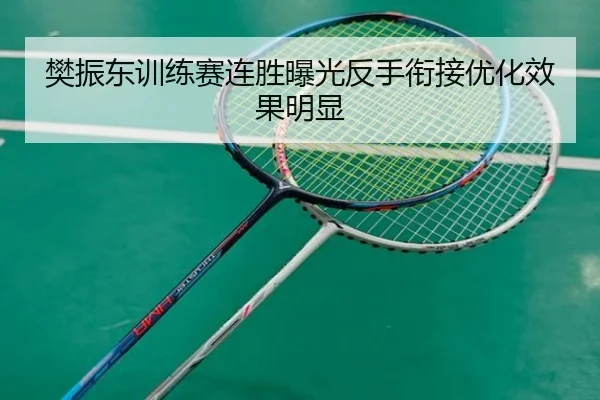 樊振东训练赛连胜曝光反手衔接优化效果明显